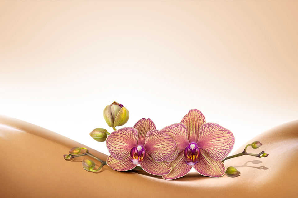 Ritual de l'orquídia